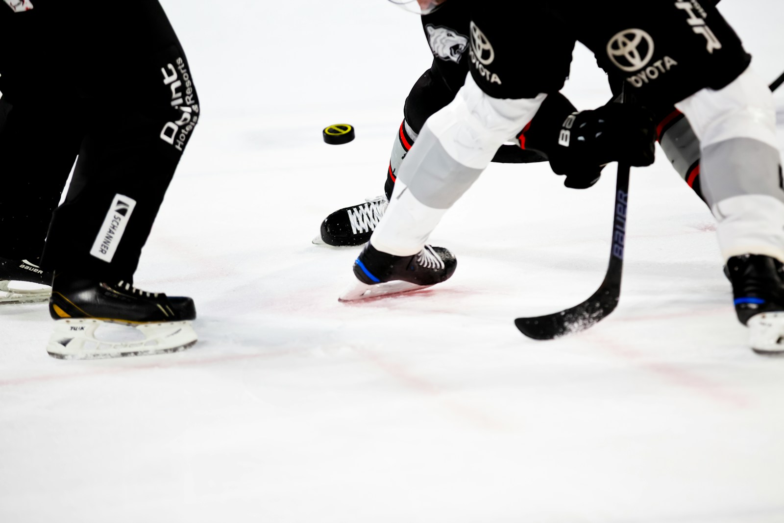 Estrategias Ganadoras para Apuestas de Hockey: Domina la NHL